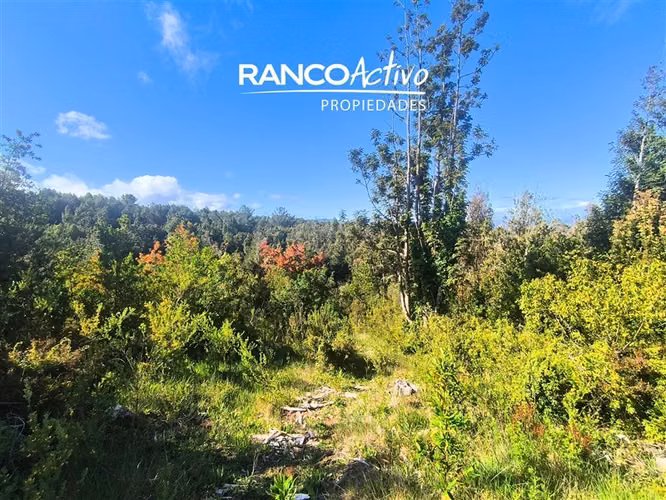 Parcela con vista al Santuario en Jardines de Oncol,Valdivia