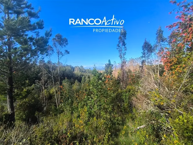 Parcela con vista al Santuario en Jardines de Oncol,Valdivia