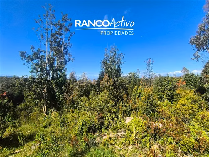 Parcela con vista al Santuario en Jardines de Oncol,Valdivia