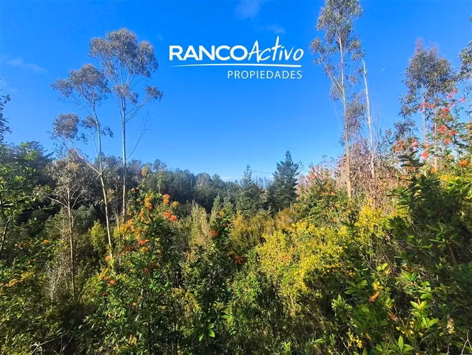 Parcela con vista al Santuario en Jardines de Oncol,Valdivia