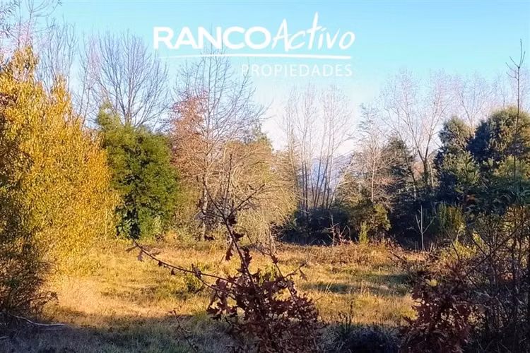 Sitio en venta en Villarrica Pucon - Imagen 2