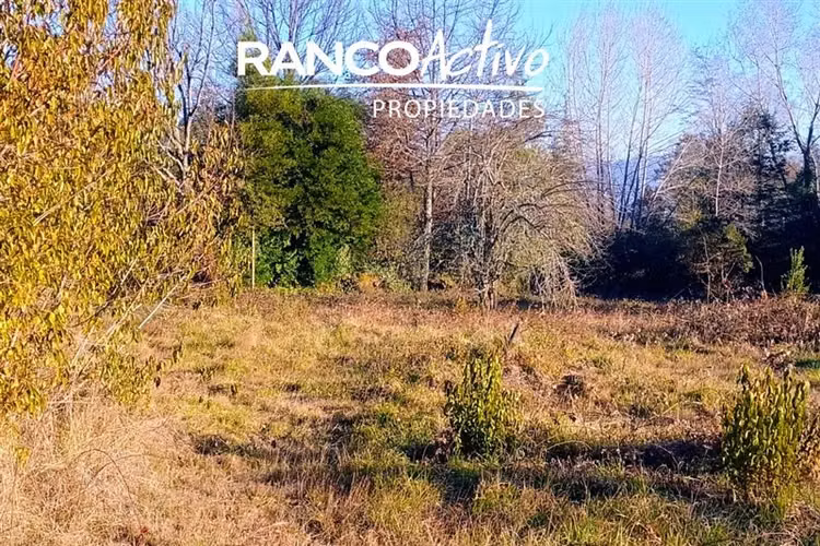 Sitio en venta en Villarrica Pucon - Imagen 3