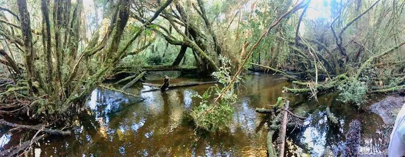 Preciosas parcelas en venta sector Pichilaguna, Llanquihue