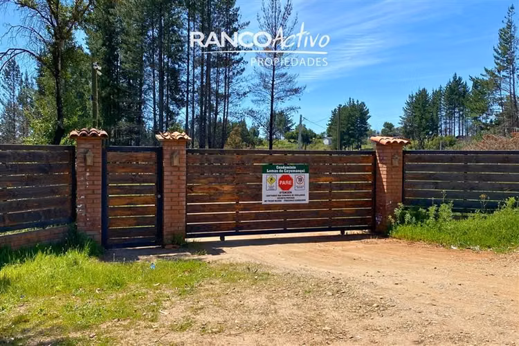 Parcela con nogales en venta en Quillón