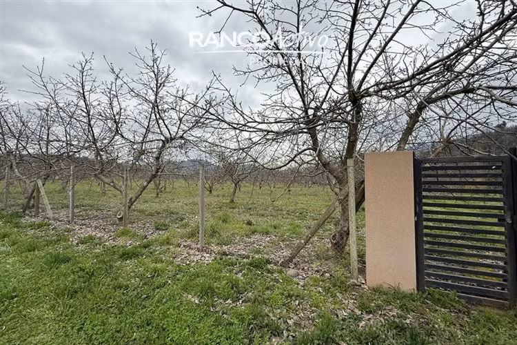 Parcela con nogales en venta en Quillón