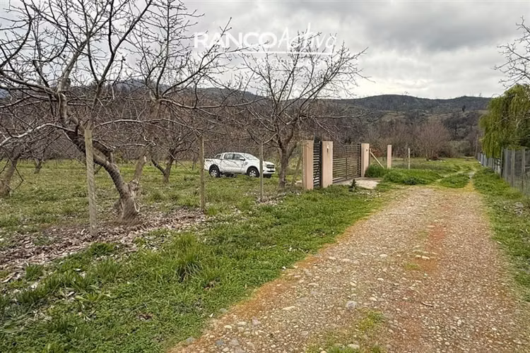 Parcela con nogales en venta en Quillón