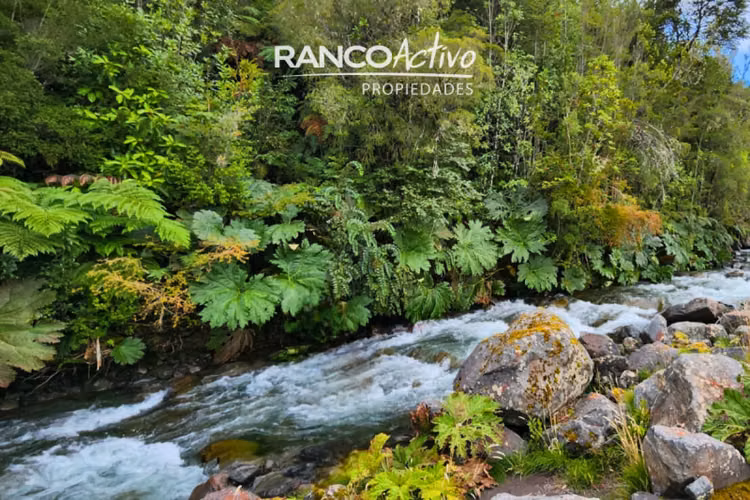 Preciosa parcela a Orilla de Rio en venta en Puerto Varas - Imagen 2