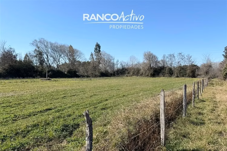 Se vende gran casa y campo agricola en Cabrero
