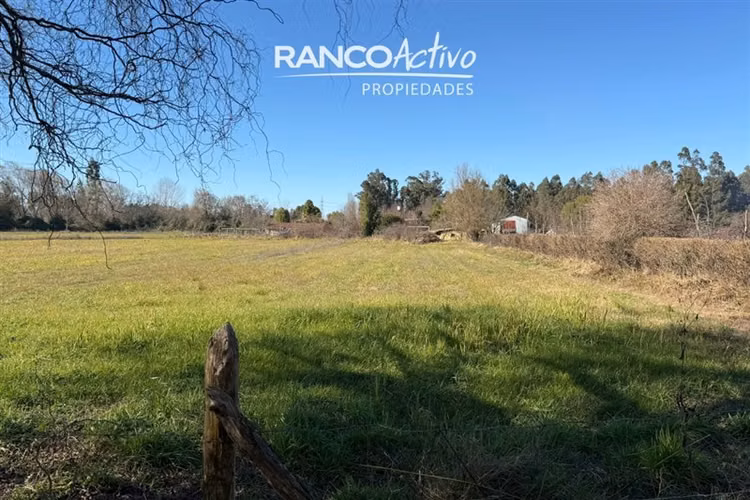 Oportunidad se vende gran casa y campo agricola en Cabrero
