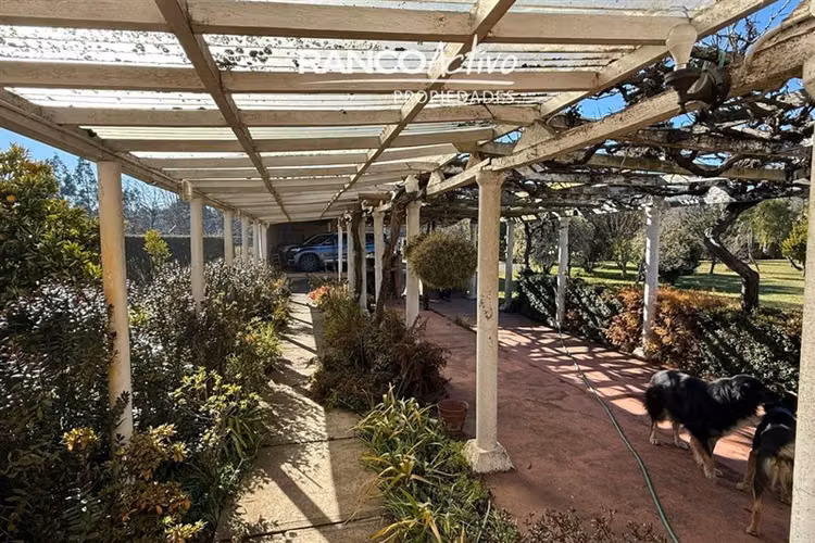 Oportunidad se vende gran casa y campo agricola en Cabrero
