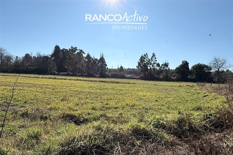 Oportunidad se vende gran casa y campo agricola en Cabrero