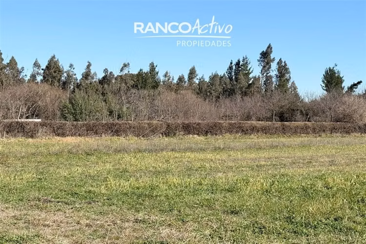 Oportunidad se vende gran casa y campo agricola en Cabrero
