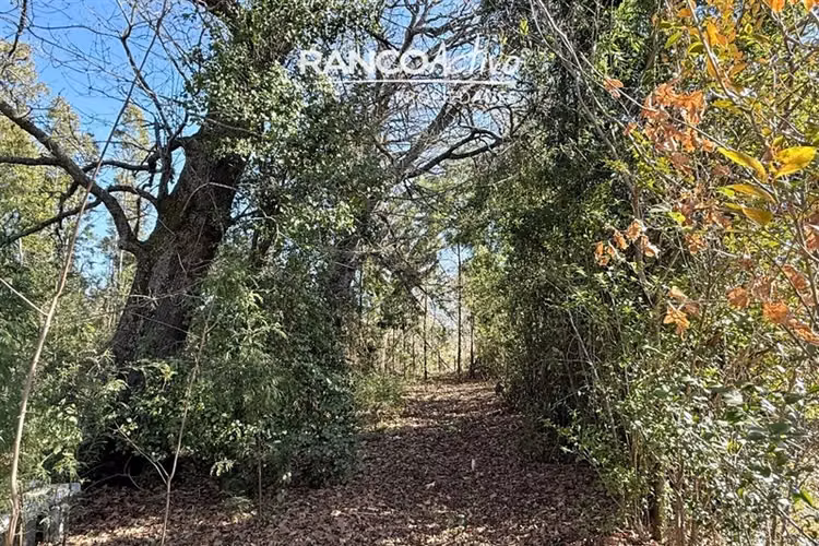 Oportunidad se vende gran casa y campo agricola en Cabrero