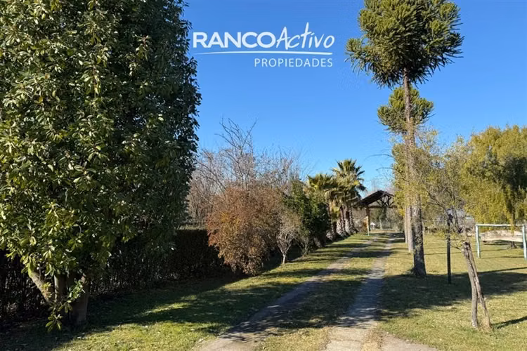 Oportunidad se vende gran casa y campo agricola en Cabrero