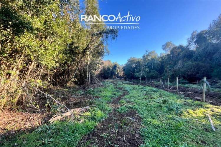 Parcela en venta condominio aguas bonitas, Mariquina.