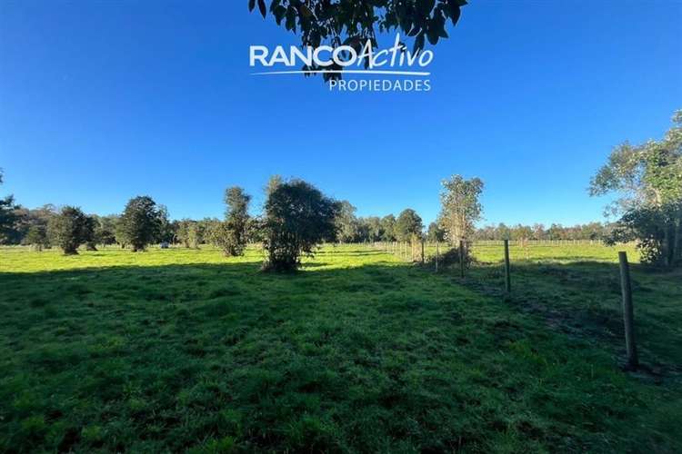 Parcela en venta condominio aguas bonitas, Mariquina.