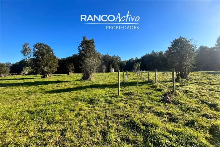 Parcela en venta condominio aguas bonitas, Mariquina.