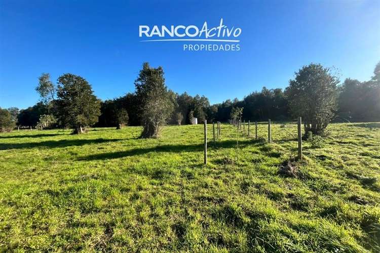 Parcela en venta condominio aguas bonitas, Mariquina.