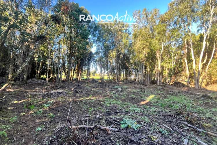 Parcela en venta condominio aguas bonitas, Mariquina.
