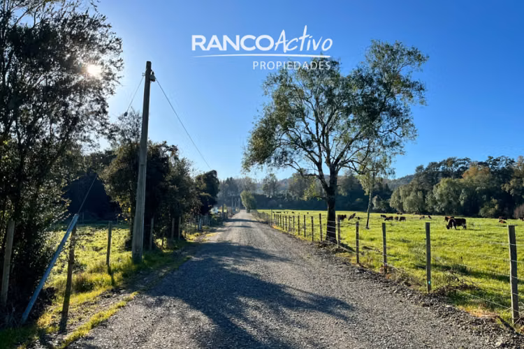 Parcela en venta condominio aguas bonitas, Mariquina.