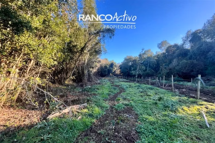 Parcela en venta condominio aguas bonitas, Mariquina.