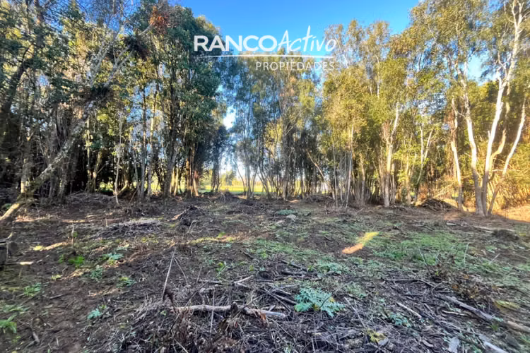 Parcela en venta condominio aguas bonitas, Mariquina.