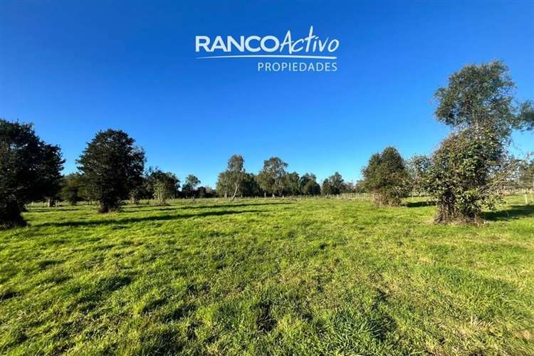 Parcela en venta condominio aguas bonitas, Mariquina.