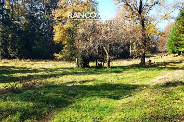 Parcela en venta en Villarrica - Imagen 9