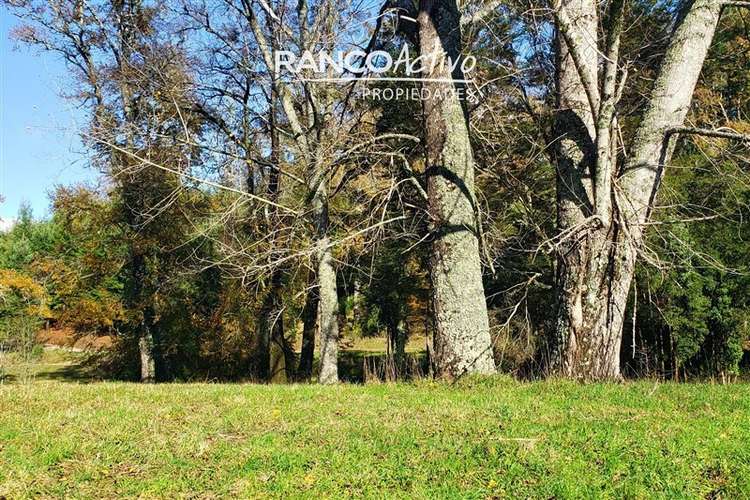Parcela en venta en Villarrica - Imagen 11