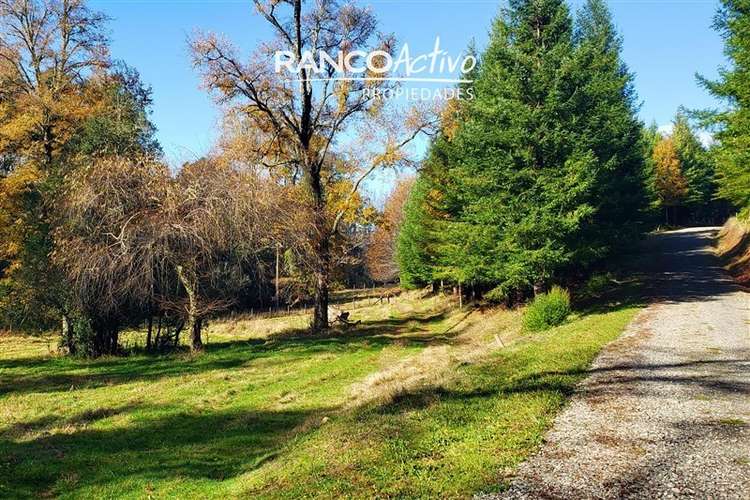Parcela en venta en Villarrica - Imagen 10