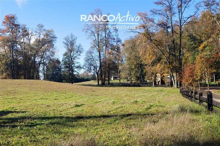 Parcela en venta en Villarrica - Imagen 8