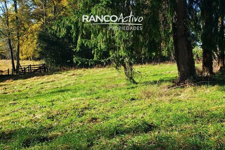 Parcela en venta en Villarrica - Imagen 12