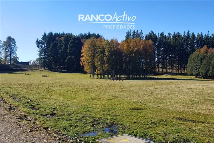 Campo Alto Roble: parcelas exclusivas a pasos de Villarrica - Imagen 15