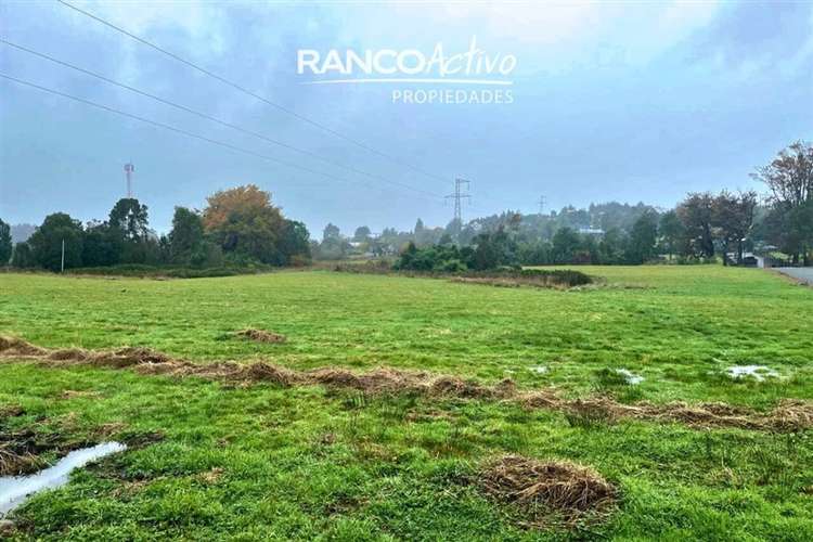 Parcela 5.044 m2 en cond. cerrado a 7 min de P. Varas - Imagen 6