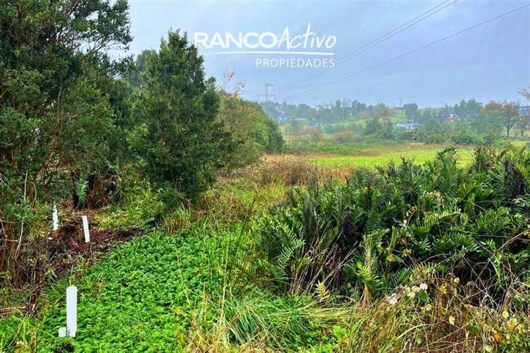 Parcela 5.044 m2 en cond. cerrado a 7 min de P. Varas - Imagen 7