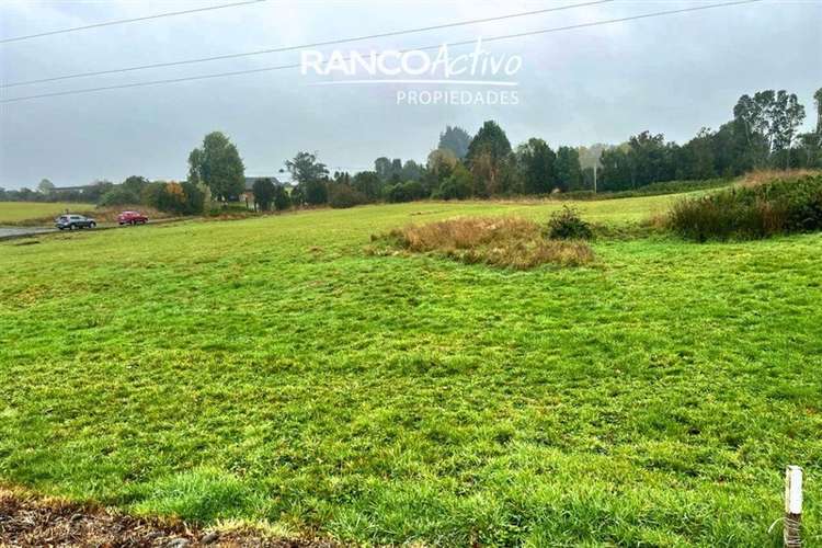 Parcela 5.044 m2 en cond. cerrado a 7 min de P. Varas - Imagen 3