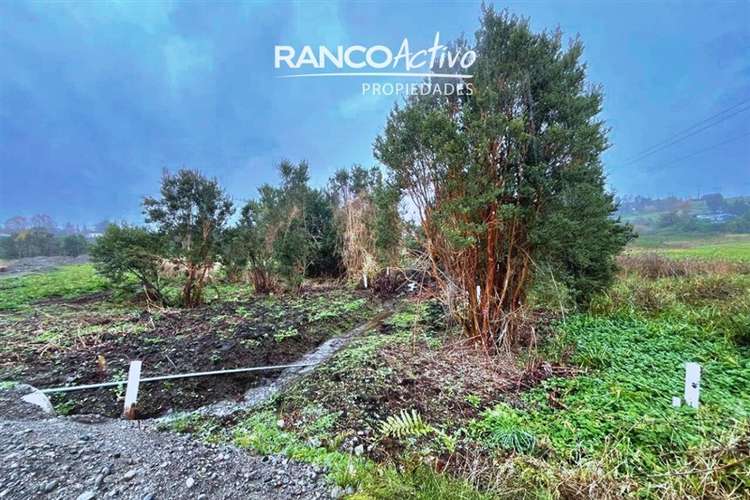 Parcela 5.044 m2 en cond. cerrado a 7 min de P. Varas - Imagen 11