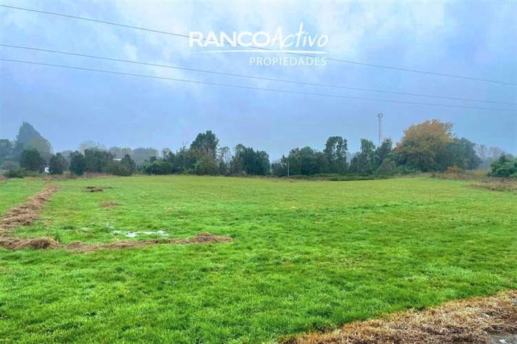 Parcela 5.044 m2 en cond. cerrado a 7 min de P. Varas - Imagen 2