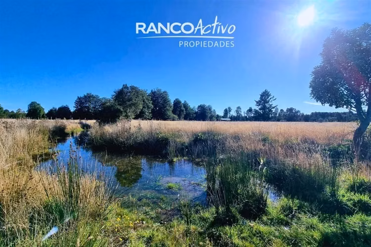 Excelente parcela 1.3 ha en venta Salto Chico, Puerto Montt