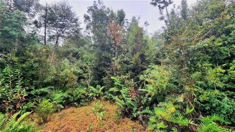 Parcela con excelente conectividad en venta en Puerto Varas