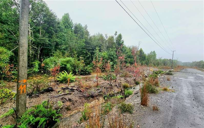 Parcela con excelente conectividad en venta en Puerto Varas - Imagen 2
