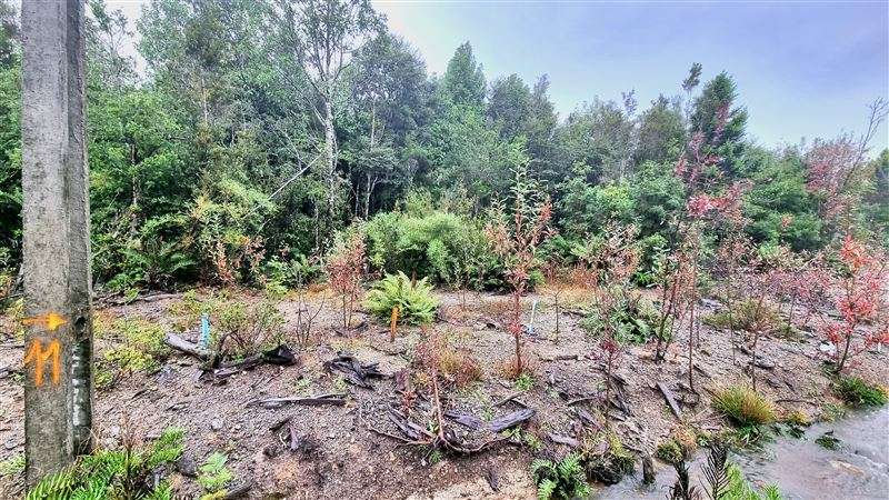 Parcela con excelente conectividad en venta en Puerto Varas - Imagen 5