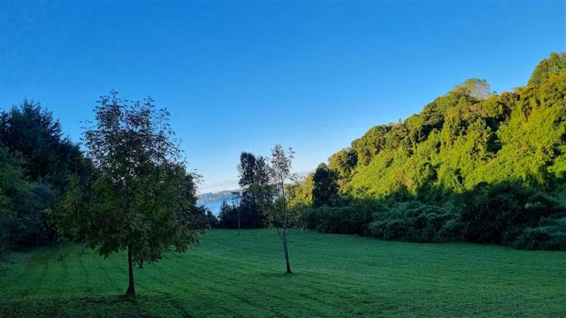 Parcela en venta en Frutillar - Imagen 7