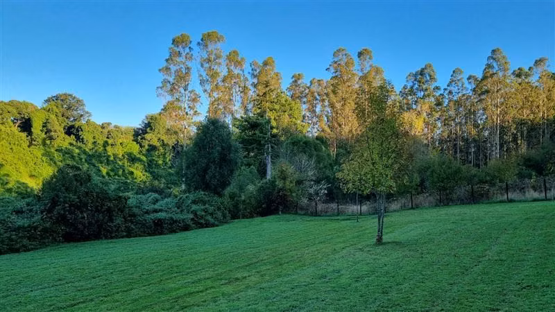 Parcela en venta en Frutillar - Imagen 11