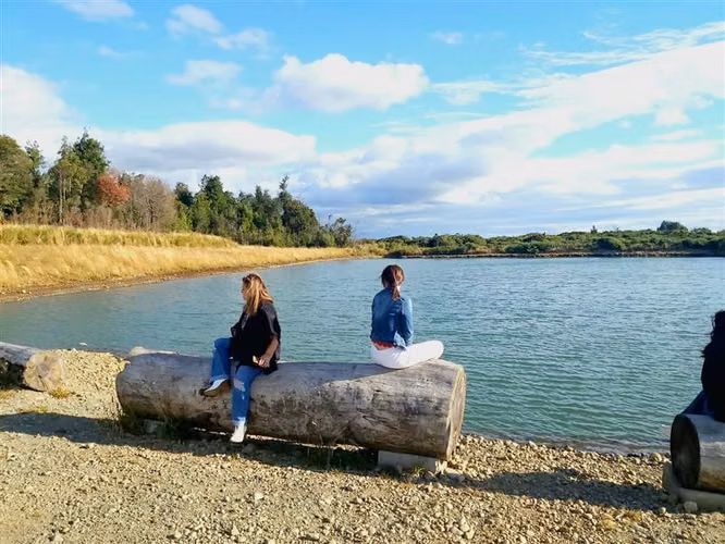 Excelente parcela en Lomas del Sur, Puerto Varas - Imagen 4