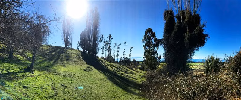 Gran Oportunidad Parcela Lago Ranco Sector Ignao 5000 m2 - Imagen 2