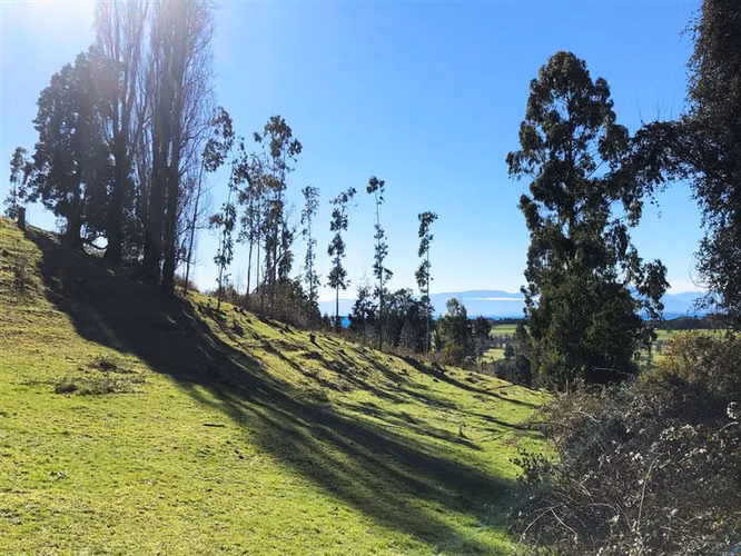 Gran Oportunidad Parcela Lago Ranco Sector Ignao 5000 m2 - Imagen 3