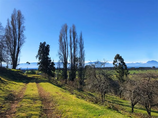 Gran Oportunidad Parcela Lago Ranco Sector Ignao 5000 m2 - Imagen 4
