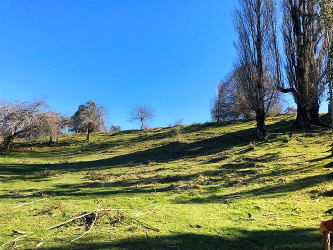 Gran Oportunidad Parcela Lago Ranco Sector Ignao 5000 m2 - Imagen 5