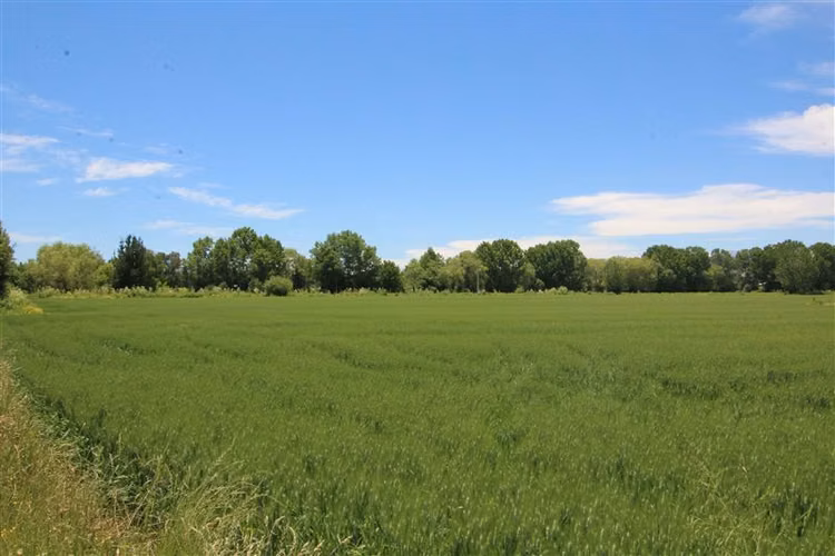 Campo agrícola en venta en Coihueco, cerca de Chillan